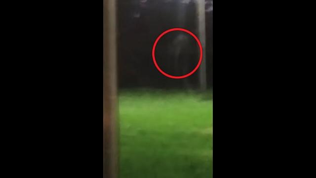 Man spots 'ghost' or 'dogman' sprint across garden in Bradenton, Florida