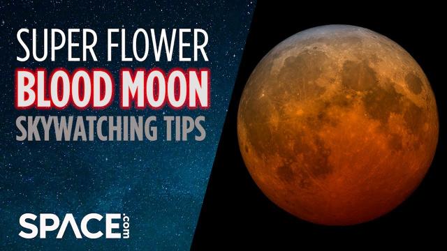 Super Flower Blood Moon! Skywatching tips from an astrophysicist