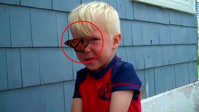This Adorable Boy Wanted To Set His Butterfly Free, But It Wasn’t Ready To Leave Him!