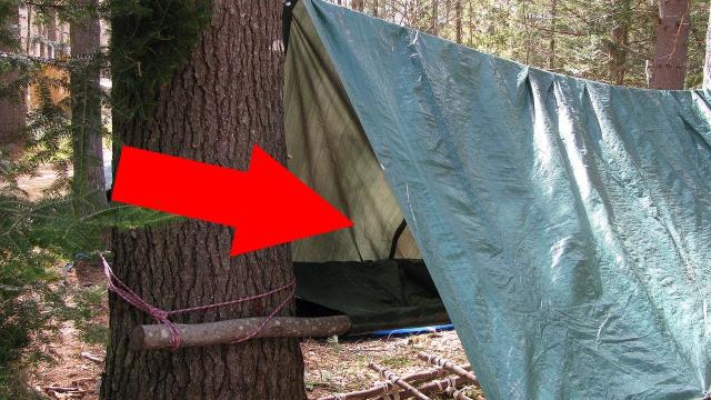 In 1996 This Spanish Doctor Went Missing, But In 2015 He Was Found In A Makeshift Camp In The Woods