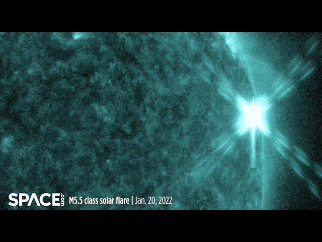 Powerful M5.5 class solar flare captured by spacecraft in multiple wavelengths