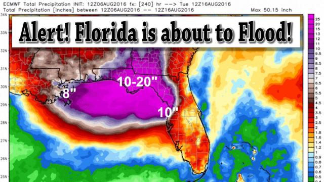 Alert! Florida is about to Flood! Gulf of Mexico coastal states beware!