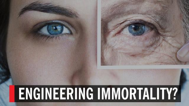 Engineering Immortality: the End of Aging?