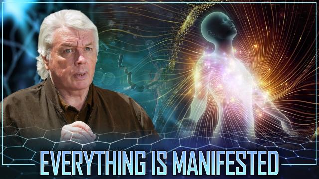 David Icke | The Human Decoded Reality and How We Manifest This World