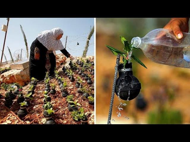 Woman Plants Flowers In Used Army Tear Gas Grenades That She Collects