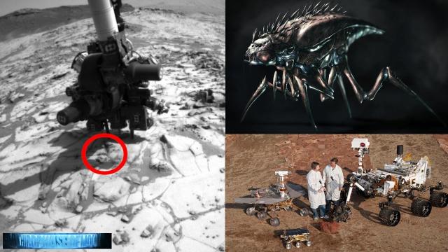 "THEY MOVE" NASA Finds Alien "BUGS" On The Surface Of MARS! Oct 2016