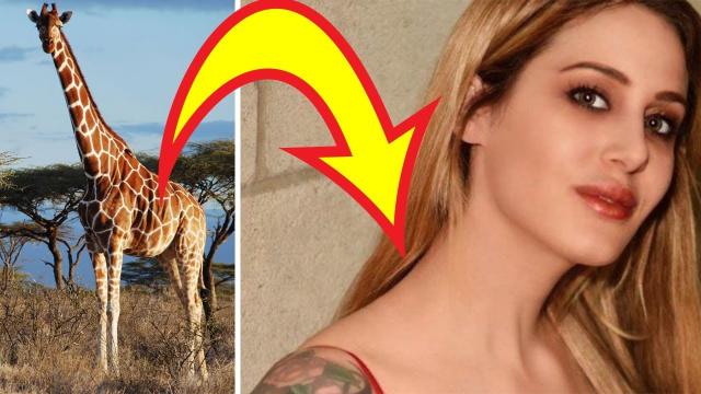 Woman Takes Her Obsession With Giraffes To A Whole New Level
