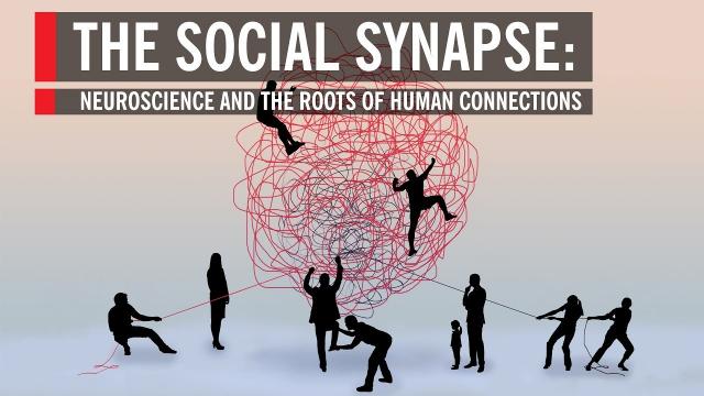 The Social Synapse: Neuroscience and the Roots of Human Connections