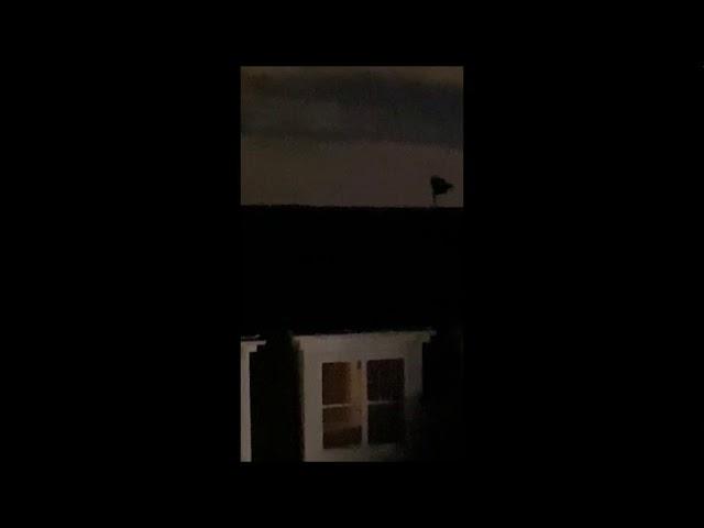 Witness filmed giant UFOs from porch almost two years after Alien abduction in china