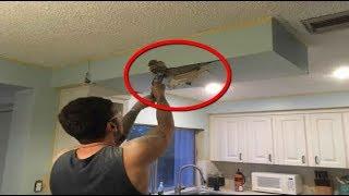 He Discovered A Hidden Purse In His Ceiling What He Did Next Is Amazing
