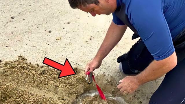 Man Discovers Buried Old Rope In Backyard, Pulls It, And He Instantly Regrets It