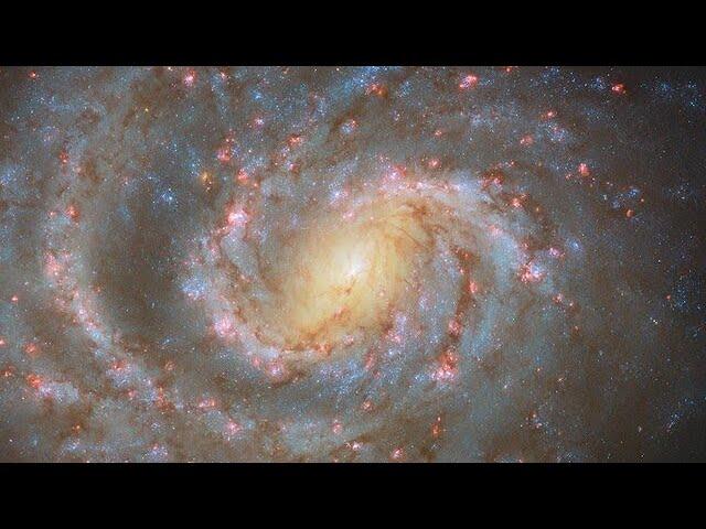 Pan: NGC 1637
