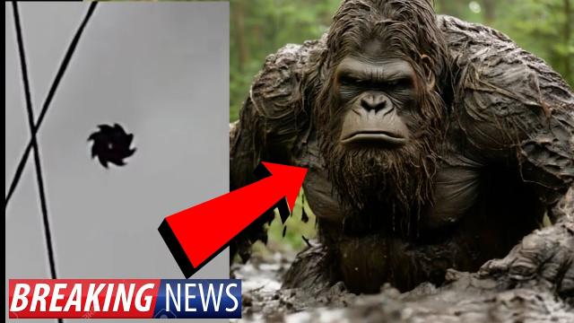 BIGFOOT! SAW BLADE UFO! THING'S JUST GOT VERY STRANGE! WACTH NOW!