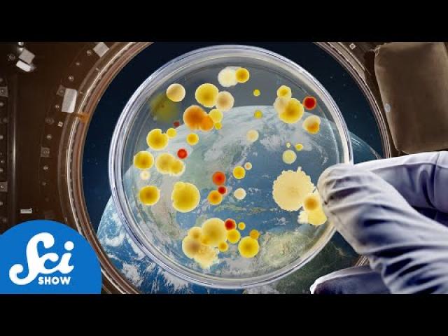 How We Accidentally and Intentionally Grow Bacteria in Space Stations | Compilation