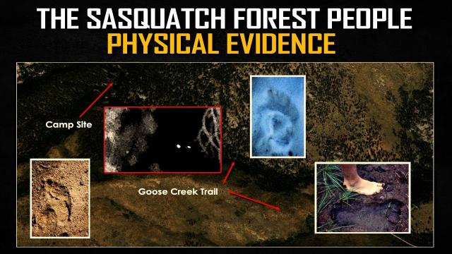 Sasquatch Evidence Presented: They Are Real, Highly Intelligent, Rational People ( NOT Animals)