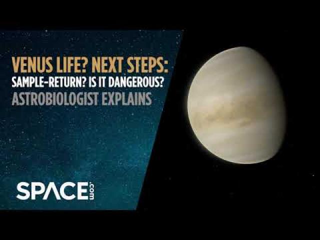 Venus life? Next steps: Sample return? Is it dangerous? Astrobiologist explains