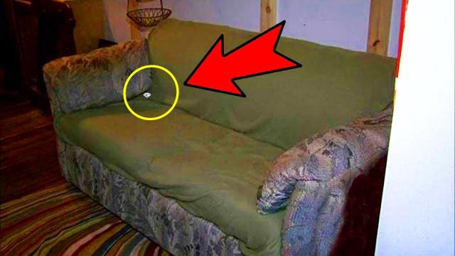 This College Students Bought An Old Couch For $20 And Accidentally Found A Widow's Secret Fortune