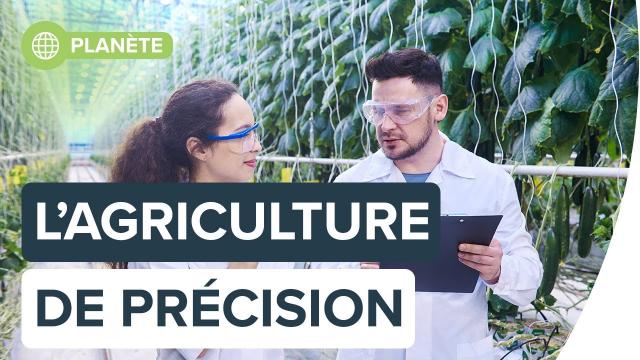 Tirer profit des nouvelles technologies pour l'agriculture | Futura