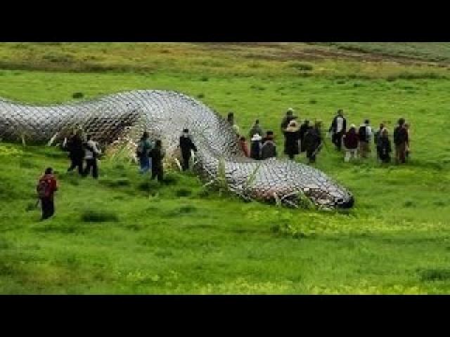 Picture of 100ft-long 'snake' sparks fears of mythical monster