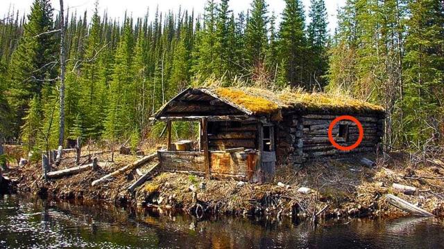 Family Laughed At Him For Inheriting Old Cabin, But Then They Looked Inside