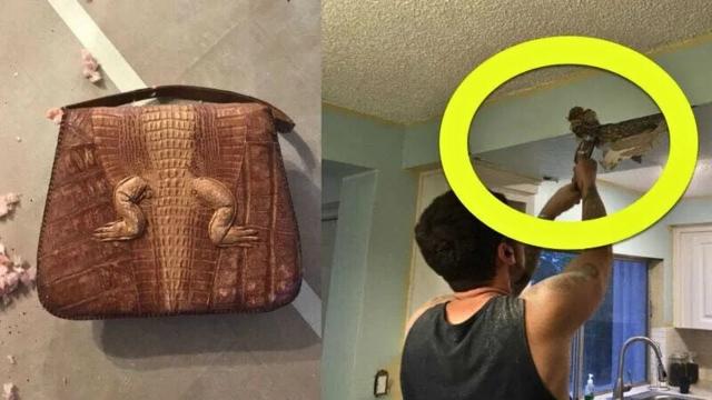 While Renovating, a Couple Finds a Leather Bag Containing a Shocking Secret