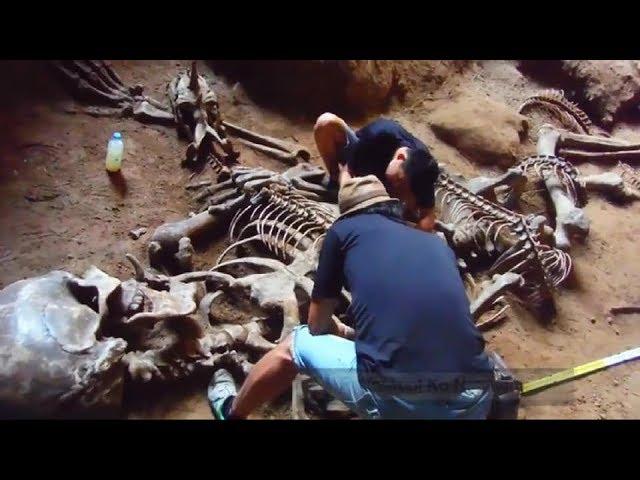 Giant Human Skeleton found at Khao Khanap Nam Cave