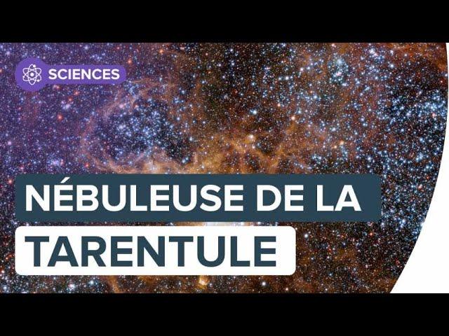 La nébuleuse de la Tarentule dévoile son cortège d’astres et de nuages | Futura