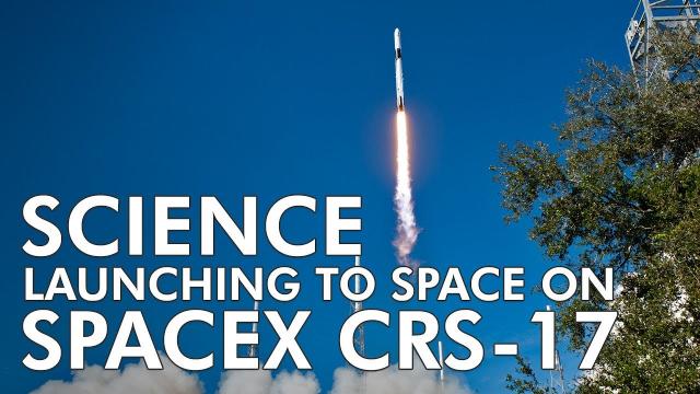 Highlights of Science Launching on SpaceX CRS-17