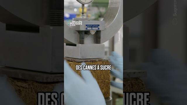 Sugarcrete : le béton révolutionnaire à base de sucre !