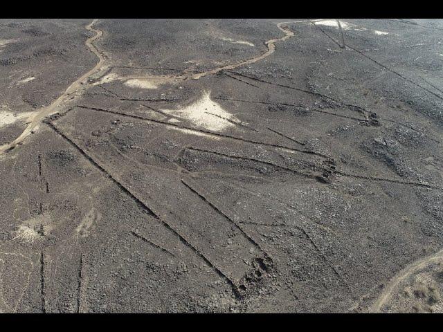 Scientists Have Cracked the Origins of ‘Desert Kites