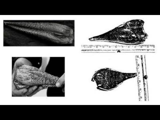 Can We Learn New Physics From Studying UFO Metals?