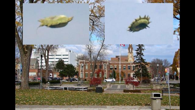 Oshawa photographer captures ‘unidentified flying object’