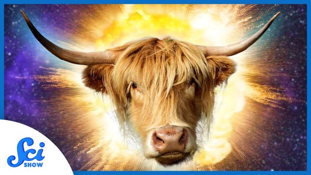 The Mysterious Cosmic Explosion Called “The Cow” | SciShow News