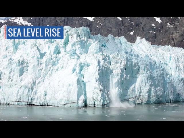 NASA's Climate Change Data Key To Preparing Cities For Possible Catastrophes | Video