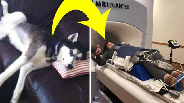 Doctors Dismissed This Woman’s Fears – But Her Husky Knew Better And Kept Sniffing Around