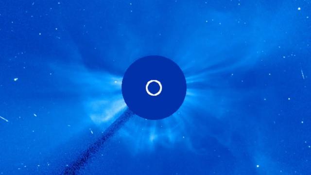 Cannibal coronal mass ejection generated by strong solar flare