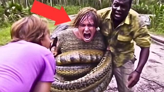 A Man Finds A Strange Looking Snake, And When The Guard Arrives He Says  “You Shouldn’t Be Looking..