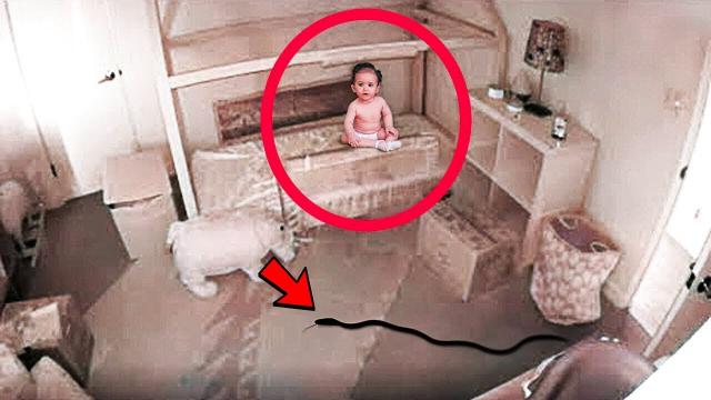 Mom Is Worried How Baby Keeps Disappearing From Crib, So She Installs A Security Camera To Find Out