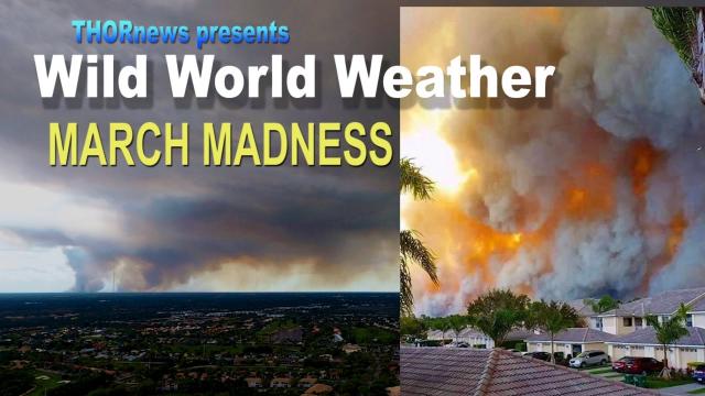 WILD WORLD WEATHER - March Madness! Tornados! Wind! Fire! Floods! Cyclones!