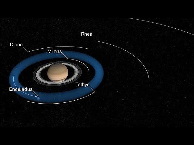 Enceladus Plume and Torus