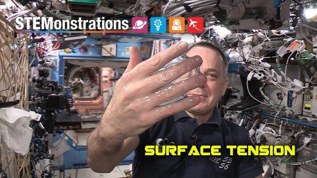 STEMonstrations: Surface Tension