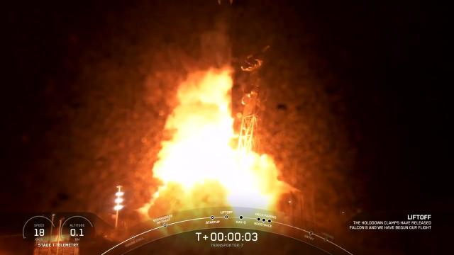 SpaceX launches Transporter-7 rideshare mission from California, nails landing