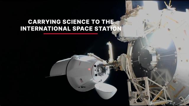 SpaceX CRS-29 mission to space station - Science payloads explained