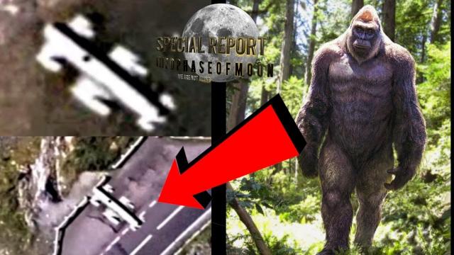 They Are Not Hiding Anymore! NEW Bigfoot Video! 2022