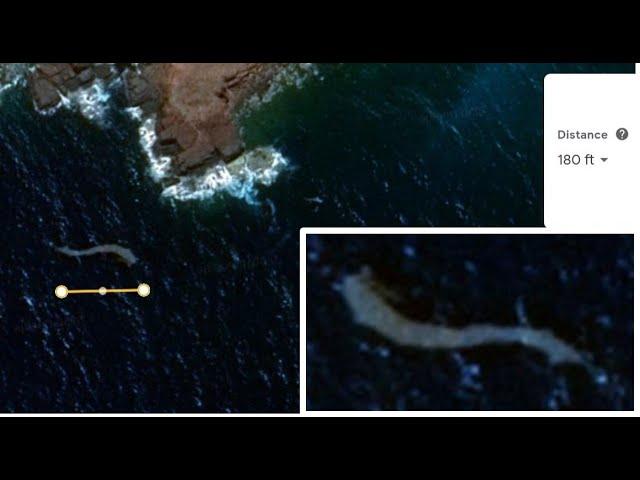 Gigantic 180-feet Sea Monster detected on the coast of Puerto Rico through Google Earth