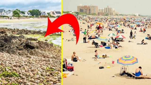 When Tourists Saw This Green Substance On The Beach, Experts Warned Them To Keep Their Distance