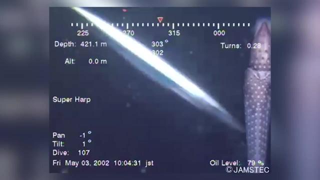USO Caught on video by a ROV off the coast of Sanriku, Japan
