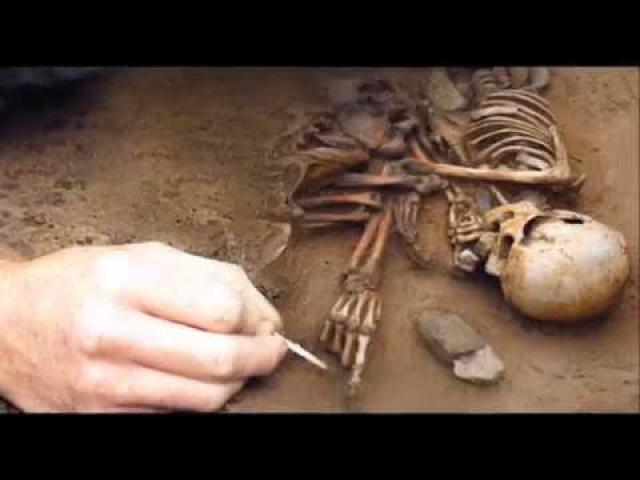Ireland: Archaeologists Discover Remains of New Humanoid Species