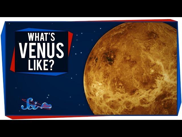 What's It Like on ... Venus?