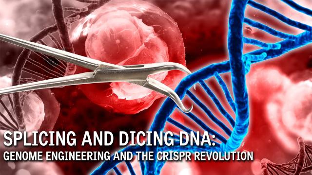 Splicing and Dicing DNA: Genome Engineering and the CRISPR Revolution